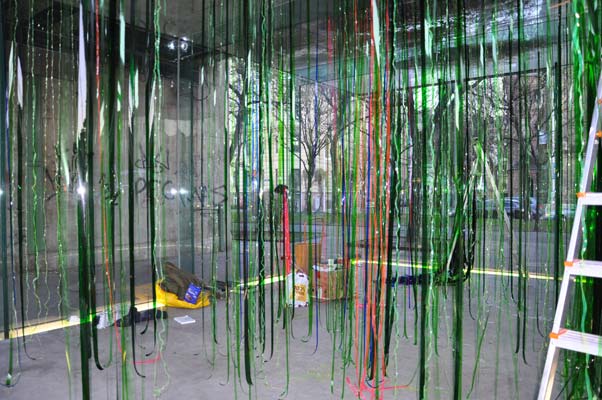 Rainforest Cubed Installation Sylvie Proidl