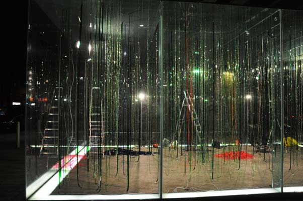 RAINFOREST CUBED: Installation Sylvie Proidl, Wien